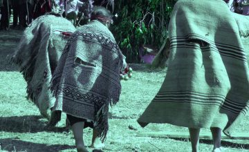 La vulneración del derecho a educación de los niños mapuche en medio de la militarización