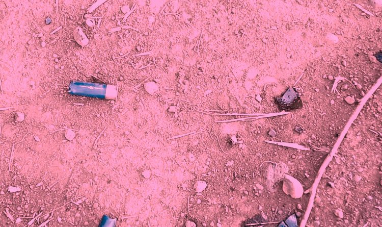 Niños y mujeres retenidos en allanamiento a comunidad mapuche Lof Pewvwe Winkul