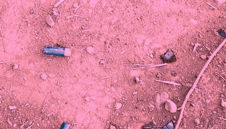 Niños y mujeres retenidos en allanamiento a comunidad mapuche Lof Pewvwe Winkul