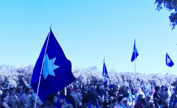 El Proceso Constituyente y la oportunidad de un Chile plurinacional