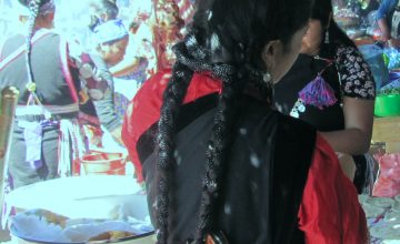 Las “nanas” mapuche, migrantes y los oficios racializados