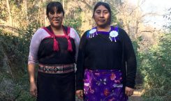 Mujer y territorio: La vida de las hermanas Ñancul en…